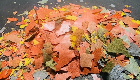 Zestaw pokarmu dla ryb akwariowych i stawowych Spirulina Goldfish Tropical